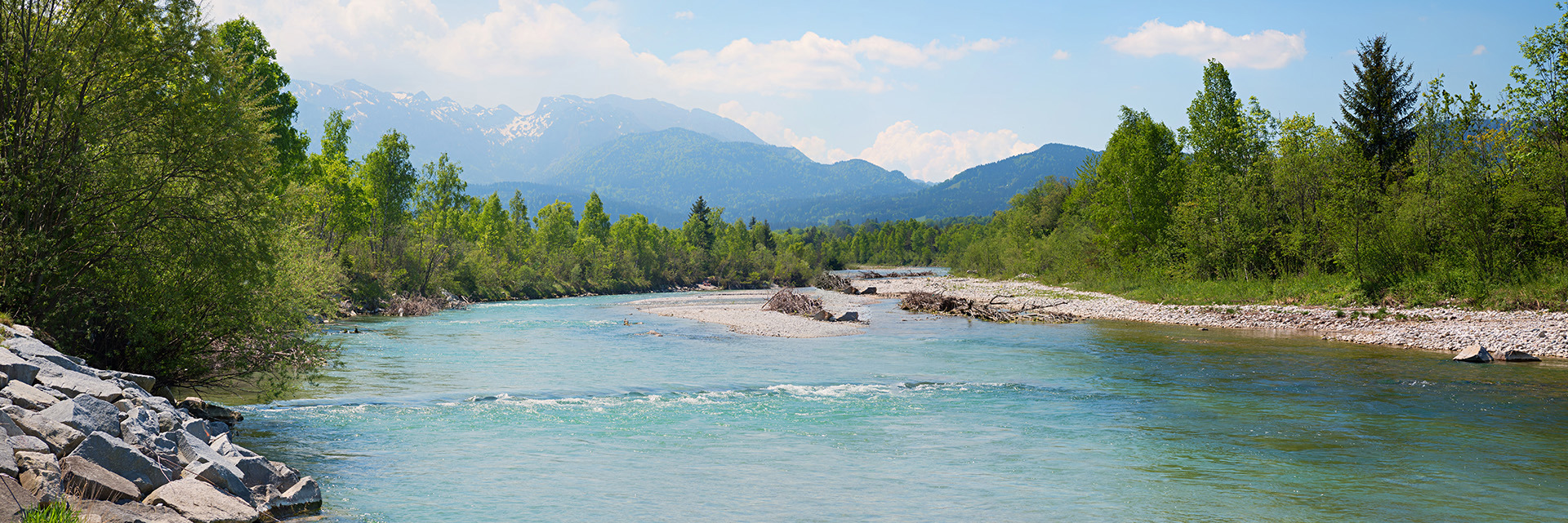 Mountain river flanked by trees